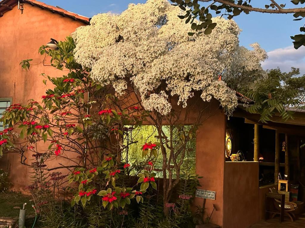 Pousada Refugio Da Serra Pirenópolis Exterior foto