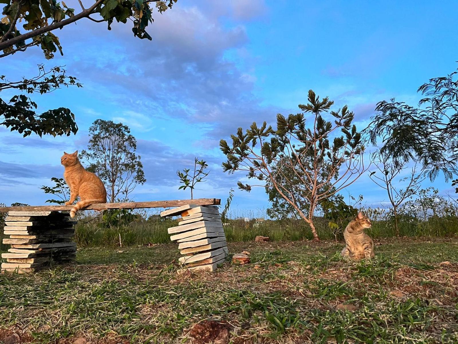 Pousada Refugio Da Serra Pirenópolis Exterior foto