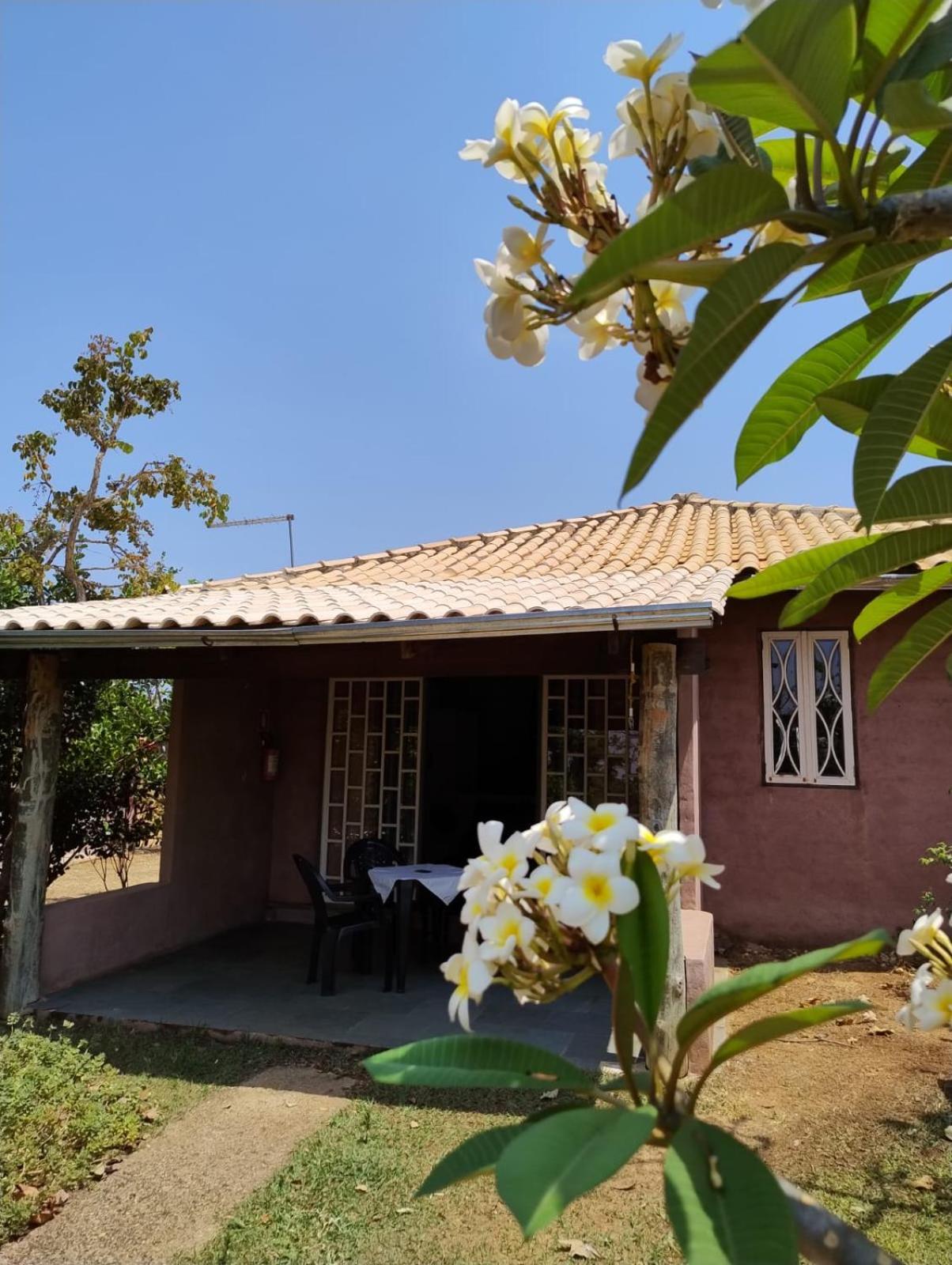Pousada Refugio Da Serra Pirenópolis Zimmer foto